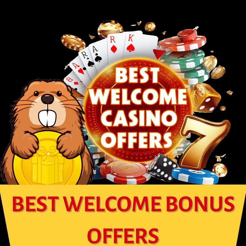 Guide to wyns live casino